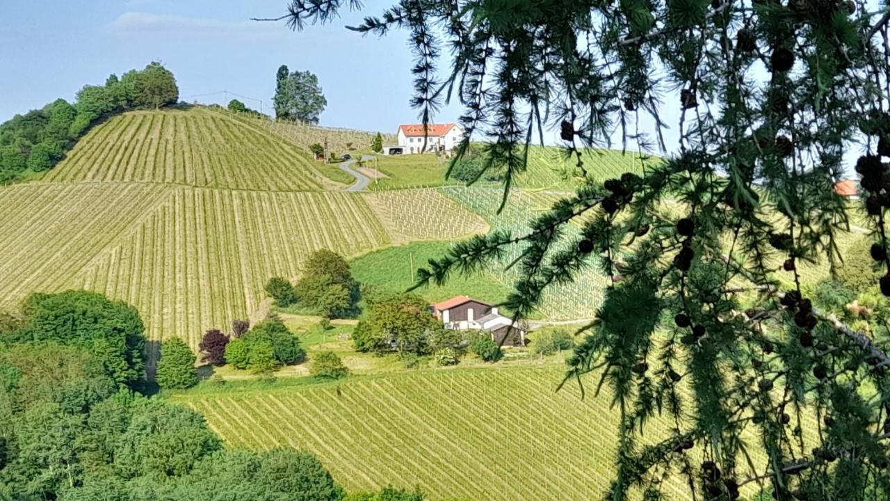 Glanz Und Gloria Weingartenapartment An Der Kellerstrasse, Viele Buschenschaenke, Sehr Ruhige Lage, Herrliche Aussicht! Лойчах Экстерьер фото